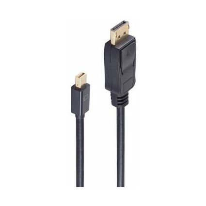 shiverpeaks BASIC-S DisplayPort Anschlusskabel, 2,0 m