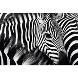 PAPERFLOW wandbild "Zebra", aus Plexiglas