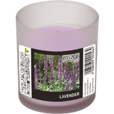 FLAVOUR by Gala duftkerze im glas "Lavender"