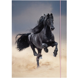 folia zeichnungsmappe BASIC "Black Horse", Karton, din A3