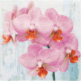 PAPSTAR motiv-servietten "Phalaenopsis", 330 x 330 mm