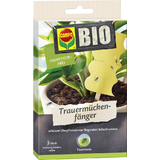 COMPO bio Trauermckenfnger, Leimfalle, insektizidfrei