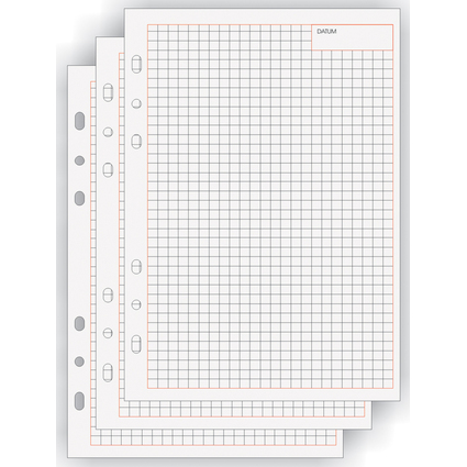 bind Ersatzeinlagen Notizbltter Manager, A5, kariert
