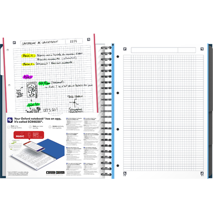 Oxford Office Collegeblock European Book 4, DIN A4+, kariert