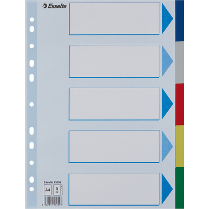 Esselte Kunststoff-Register, blanko, A4, PP, 5-teilig