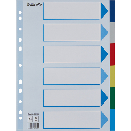 Esselte Kunststoff-Register, blanko, A4, PP, 6-teilig