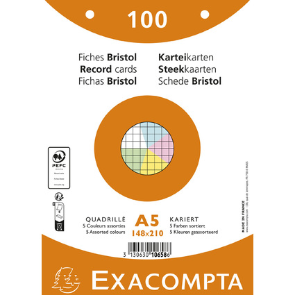 EXACOMPTA Karteikarten, DIN A5, kariert, farbig sortiert