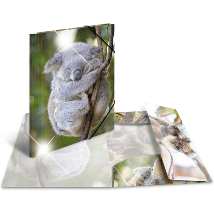 HERMA Eckspannermappe "Koala", PP Glossy, DIN A4