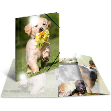 HERMA Eckspannermappe "Hunde", PP Glossy, DIN A4