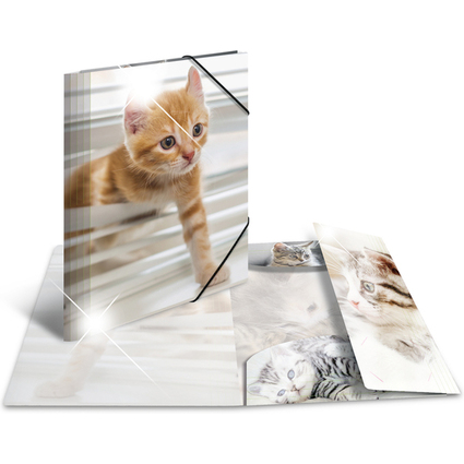 HERMA Eckspannermappe "Katzen", PP Glossy, DIN A4