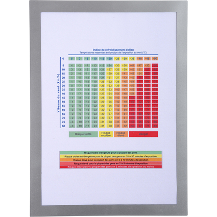 EXACOMPTA Magnetrahmen, DIN A4, silber