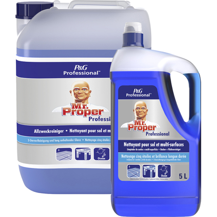 P&G Professional Meister Proper Allzweckreiniger, 10l, Ocean