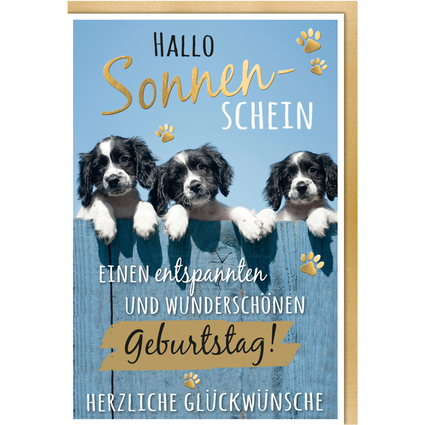 SUSY CARD Geburtstagskarte - Humor "Mischlingshunde"