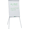 FRANKEN Flipchart U-Act! Line Standard, 700 x 1.000 mm