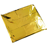 Leina Rettungsdecke, 1.600 x 2.100 mm, silber/gold REF 43000 bei   günstig kaufen